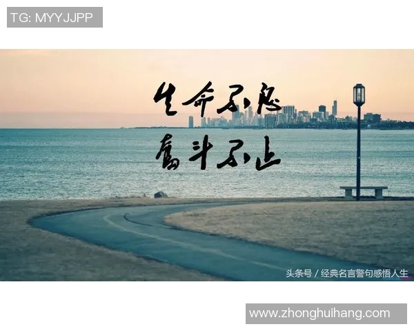 篮球明星山姆的传奇之路与他对年轻球员的激励故事